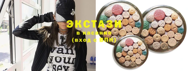 ECSTASY Богородицк